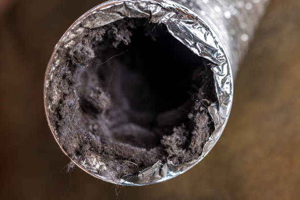 Best Ventilation Cleaning Services  in Colma, CA